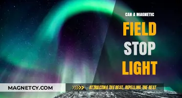Can Magnetic Fields Halt Light? Exploring the Science Behind the Myth