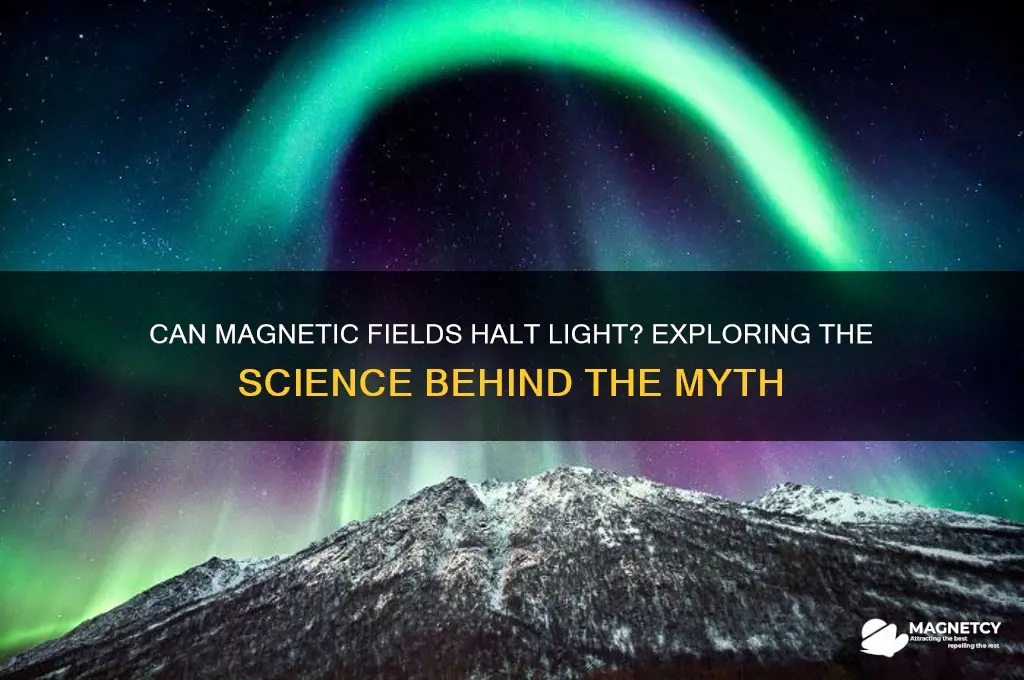 can a magnetic field stop light