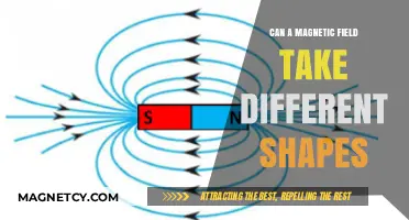 Exploring Magnetic Fields: Diverse Shapes and Their Unique Characteristics