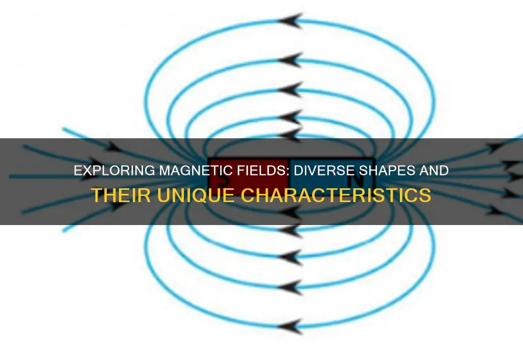 can a magnetic field take different shapes