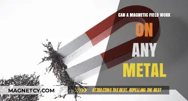 Magnetic Fields and Metals: Which Ones Are Truly Attracted?
