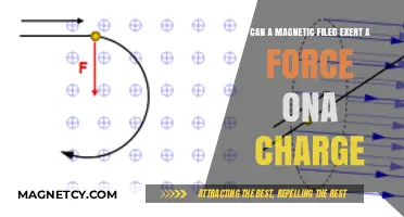 Magnetic Fields and Charged Particles: Understanding the Force Interaction