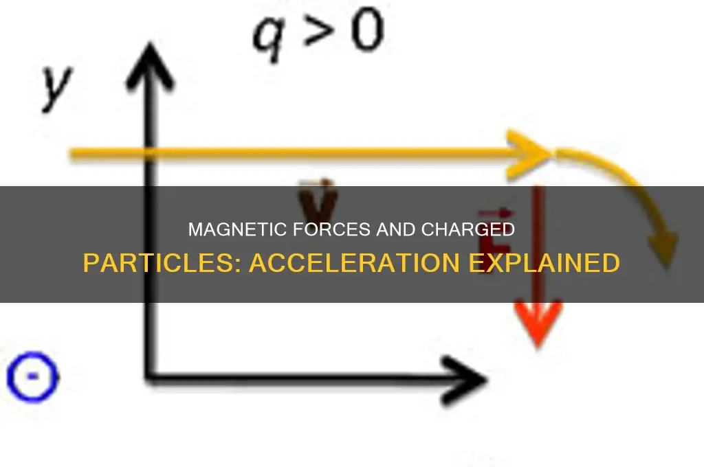 can a magnetic force accelrate a charge particle