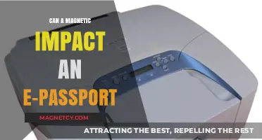 Magnetic Fields and E-Passports: Potential Impacts and Safety Concerns