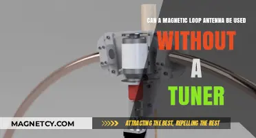 Using Magnetic Loop Antennas Without a Tuner: Is It Possible?