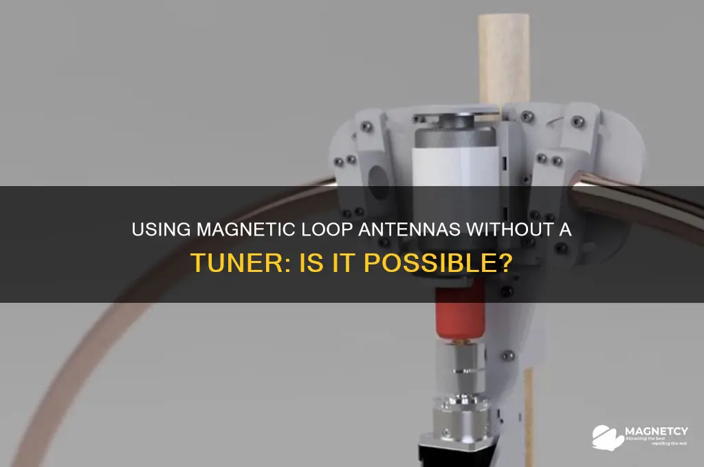 can a magnetic loop antenna be used without a tuner