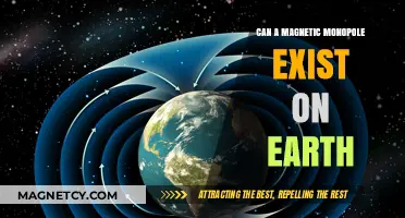 Exploring the Possibility of Magnetic Monopoles on Earth