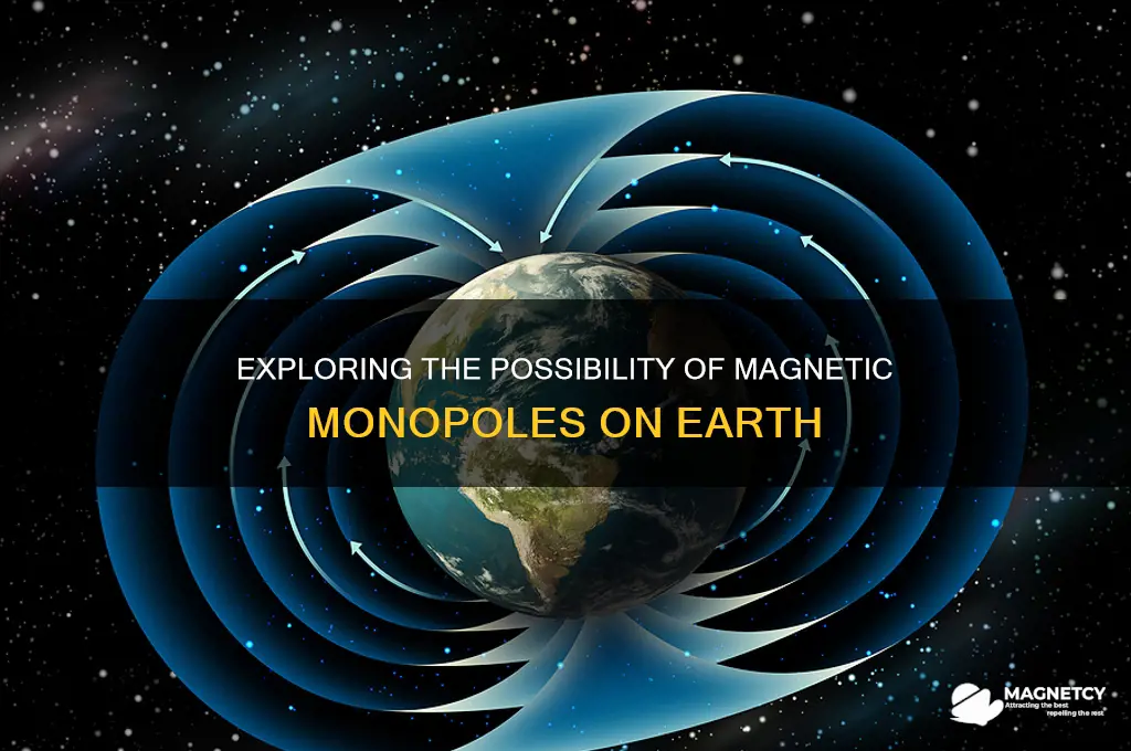can a magnetic monopole exist on earth