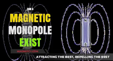 Exploring the Possibility of Magnetic Monopoles in Modern Physics