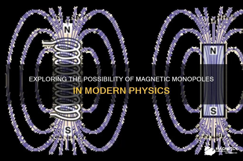can a magnetic monopole exist