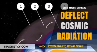 Magnetized Hauls: Potential Shields Against Cosmic Radiation Exposure?