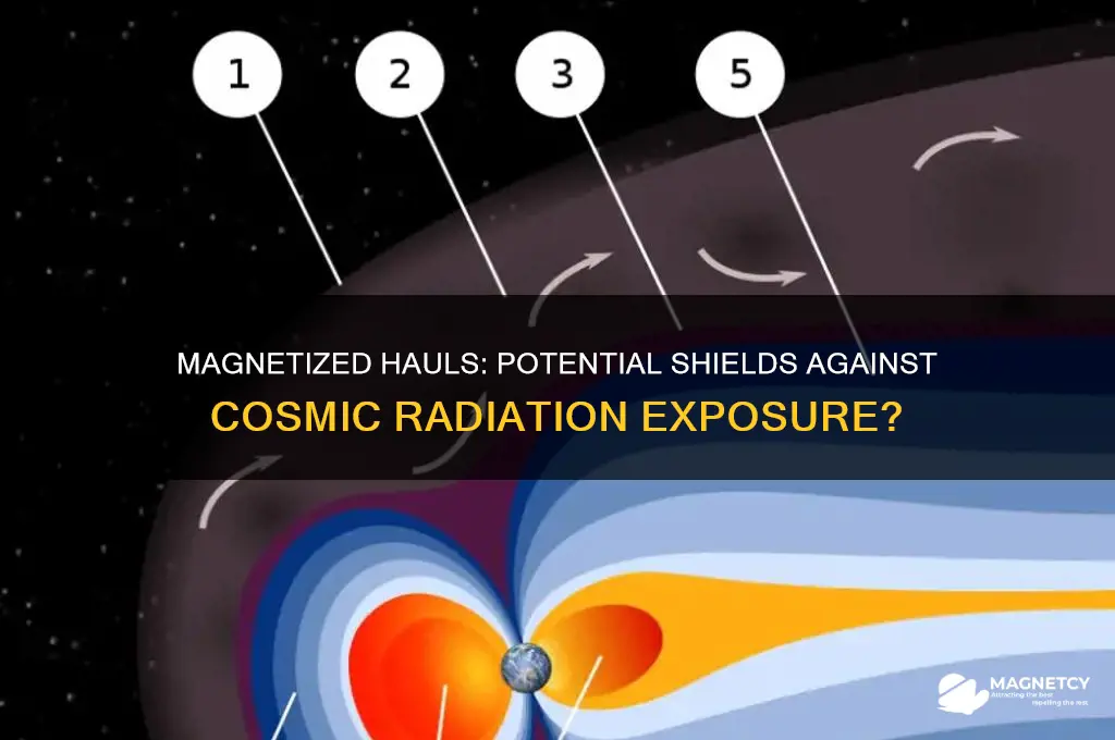 can a magnetized haul deflect cosmic radiation