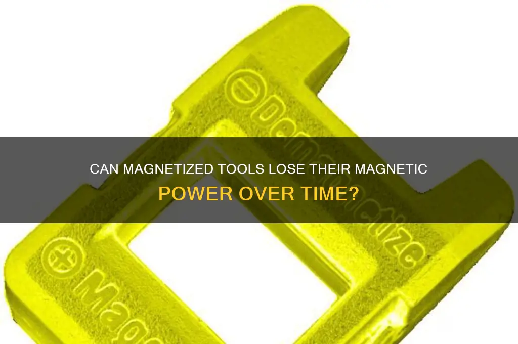 can a magnetized tool lose magnetism