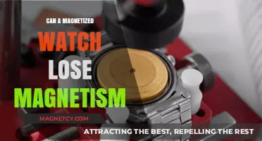 Can Magnetized Watches Lose Their Magnetic Charge Over Time?