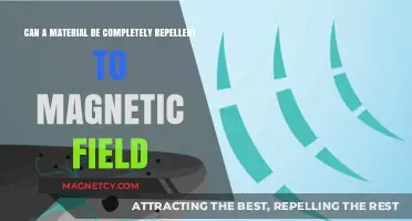Can Any Material Truly Defy Magnetic Fields? Exploring Repellency