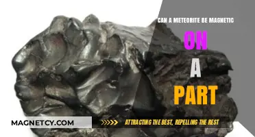 Can Meteorites Exhibit Partial Magnetism? Exploring Their Magnetic Properties