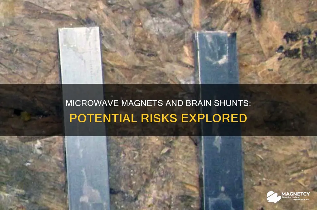 can a microwave magnets mess with brain shunt