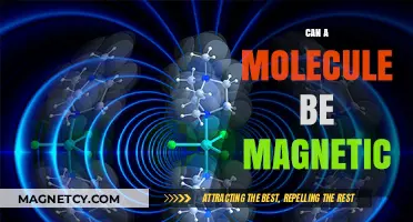 Exploring Molecular Magnetism: Can Molecules Exhibit Magnetic Properties?