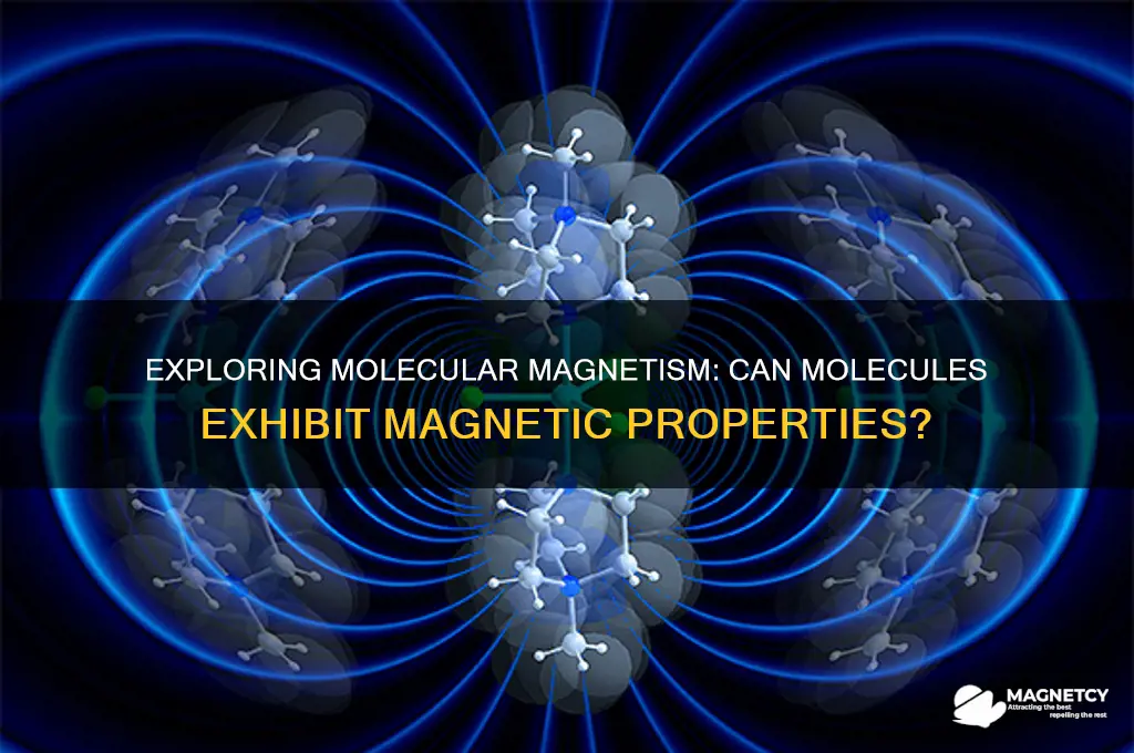 can a molecule be magnetic