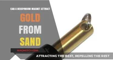 Neodymium Magnets: Can They Extract Gold from Sand?