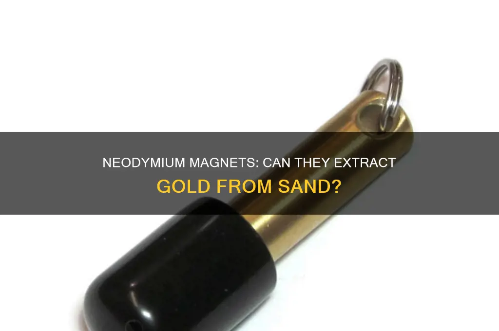 can a neodymium magnet attract gold from sand