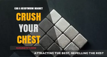 Neodymium Magnets: Chest-Crushing Power or Just a Myth?