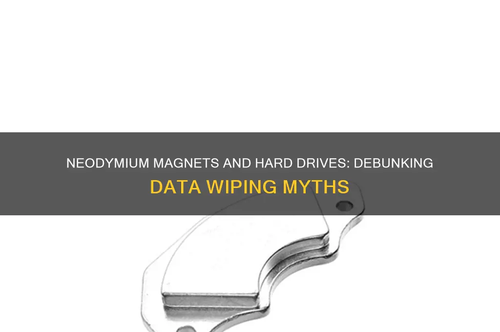 can a neodymium magnet wipe a hard drive
