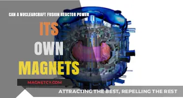 Can Nuclear Fusion Reactors Self-Sustain Their Magnetic Confinement Systems?