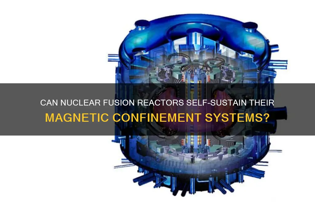 can a nuclearcraft fusion reactor power its own magnets