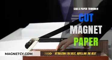 Can Paper Trimmers Cut Magnet Sheets? A Practical Guide
