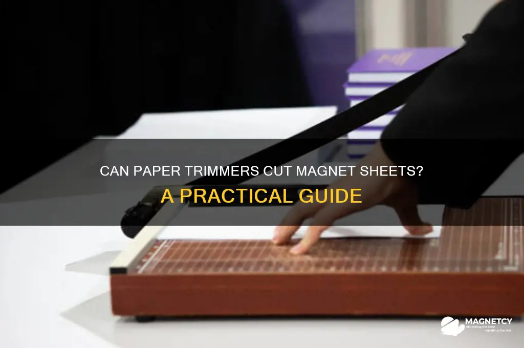 can a paper trimmer cut magnet paper