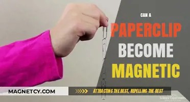 Can a Paperclip Become Magnetic? Exploring the Science Behind Magnetism