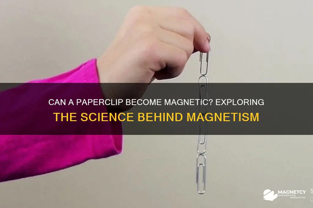can a paperclip become magnetic