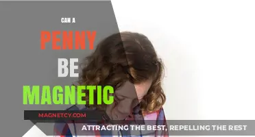 Is a Penny Magnetic? Unveiling the Truth About Copper and Magnetism