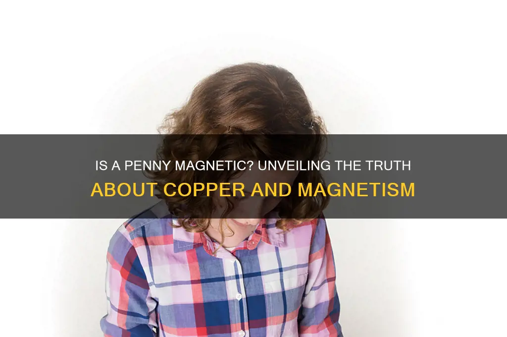 can a penny be magnetic