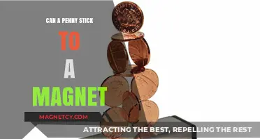 Can a Penny Stick to a Magnet? Unveiling the Metal Mystery