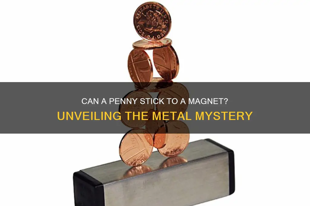 can a penny stick to a magnet