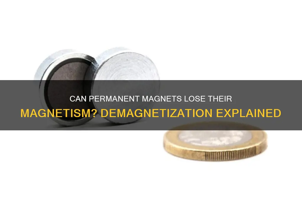 can a permanent magnet be demagnetized