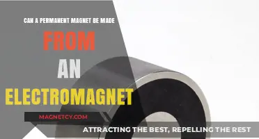 Transforming Electromagnets into Permanent Magnets: Is It Possible?