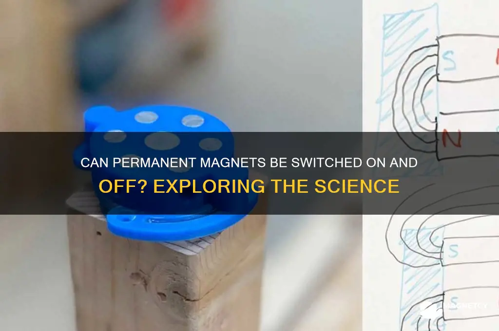 can a permanent magnet be turned on and off