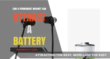 Can Permanent Magnets Attract Batteries? Exploring Magnetic and Electric Interactions