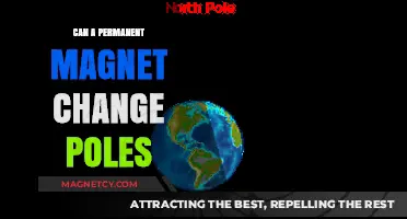 Can Permanent Magnets Reverse Polarity? Exploring Magnetic Pole Shifts