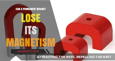 Can Permanent Magnets Lose Their Magnetism? Exploring Demagnetization Factors
