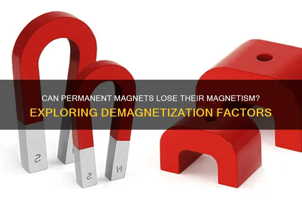 can a permanent magnet lose its magnetism