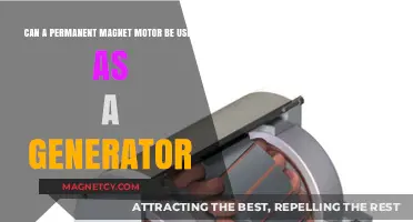 Permanent Magnet Motor as Generator: Feasibility and Practical Applications