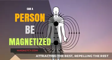 Can Humans Be Magnetized? Exploring the Science Behind Magnetic Attraction