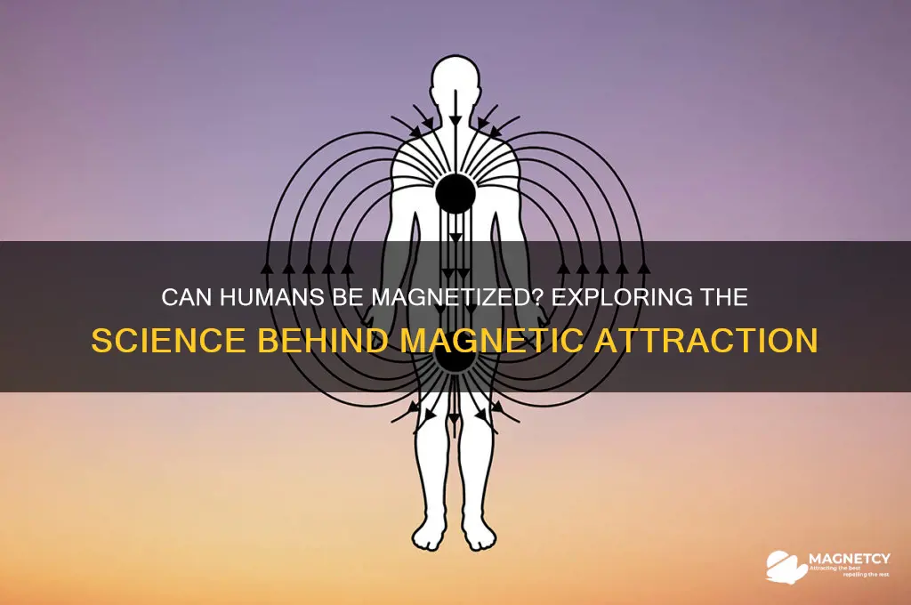 can a person be magnetized