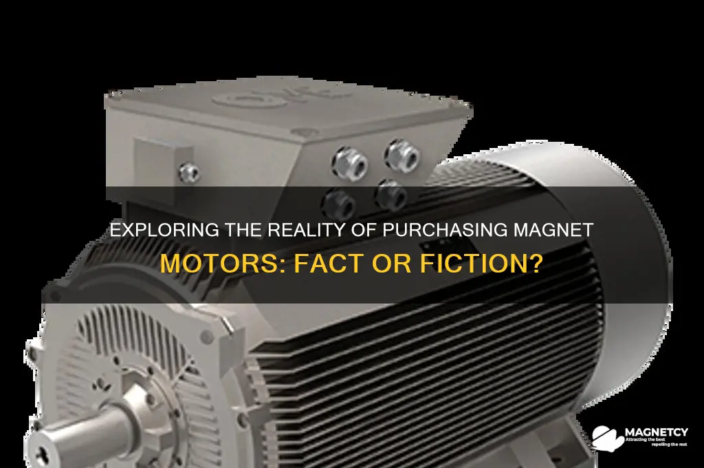 can a person buy a magnet motor