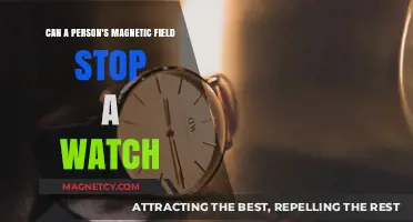 Can Human Magnetic Fields Interfere with Watch Mechanics?