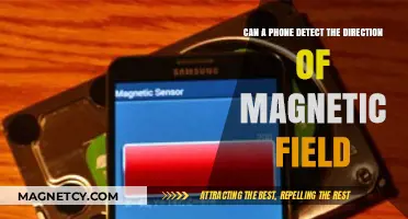 Can Your Smartphone Detect Magnetic Field Directions? Here's How